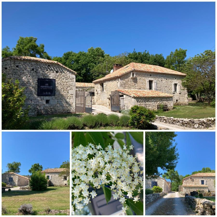 Les Fontanelles Du Quercy Blanc Villa Montcuq Екстериор снимка