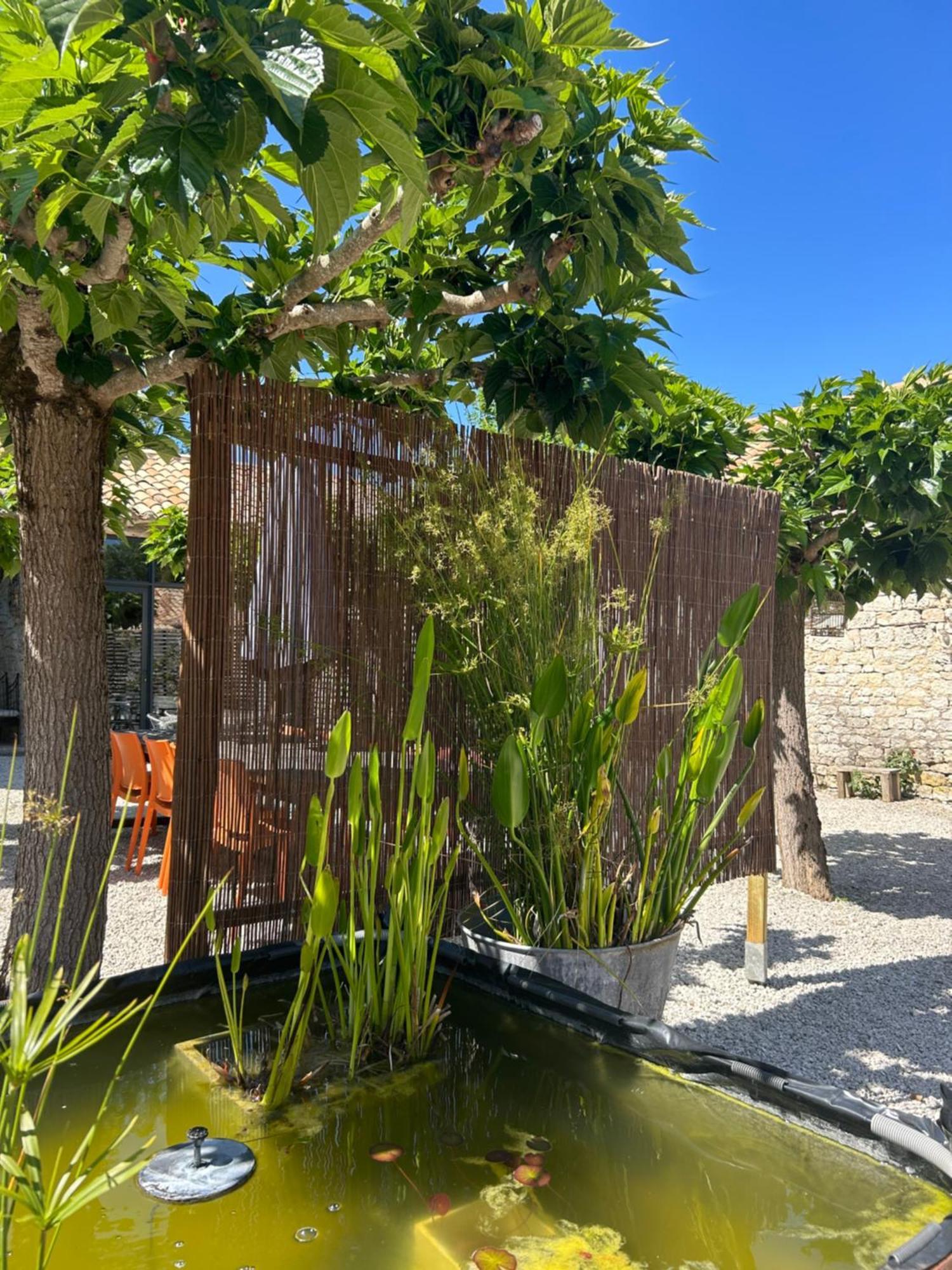 Les Fontanelles Du Quercy Blanc Villa Montcuq Екстериор снимка
